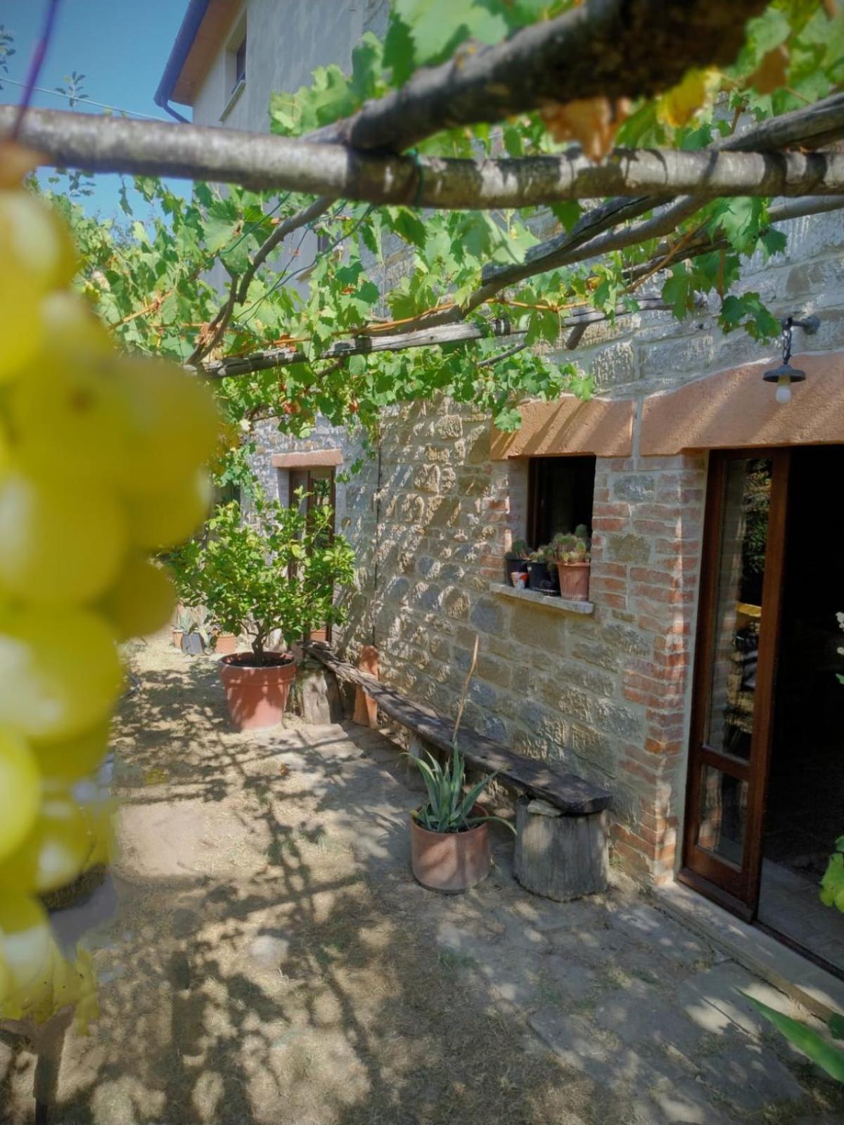 La Fonte B&B Pietralunga  Exterior photo