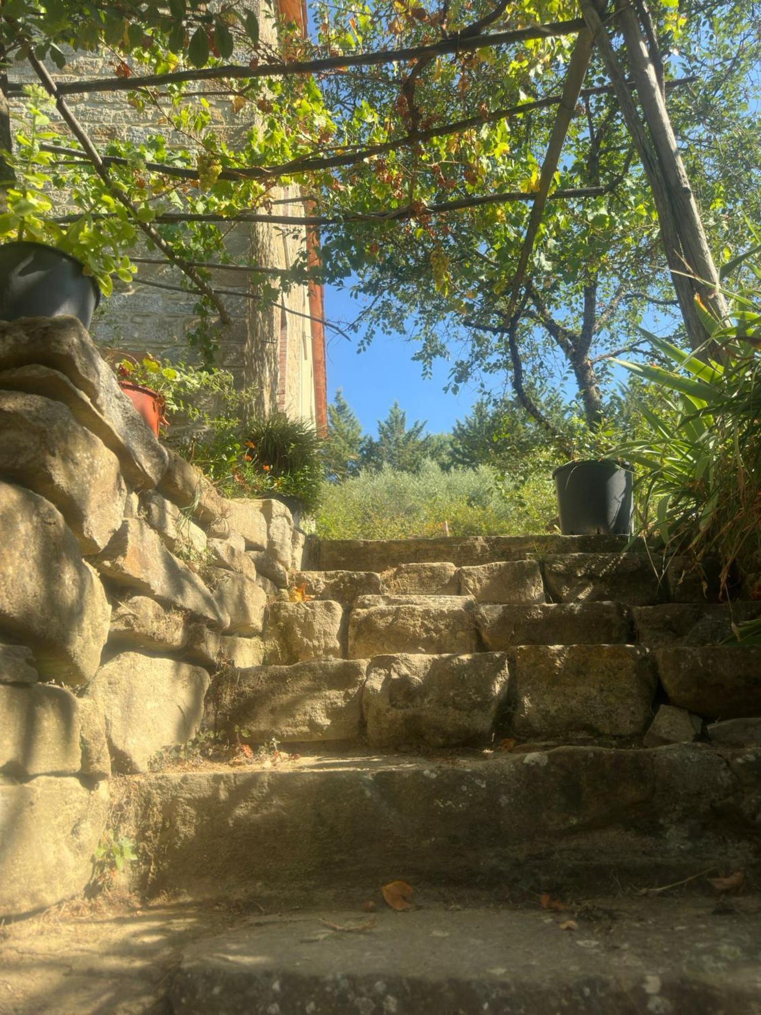 La Fonte B&B Pietralunga  Exterior photo